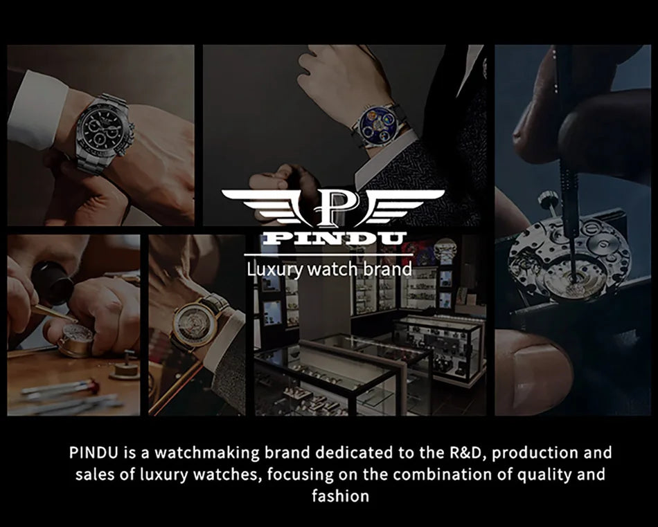 PINDU Designs Original New Men's Mechanical Watchew Dragon Series M2797B Automatic Movement Leather Sapphire Men Wristwatches